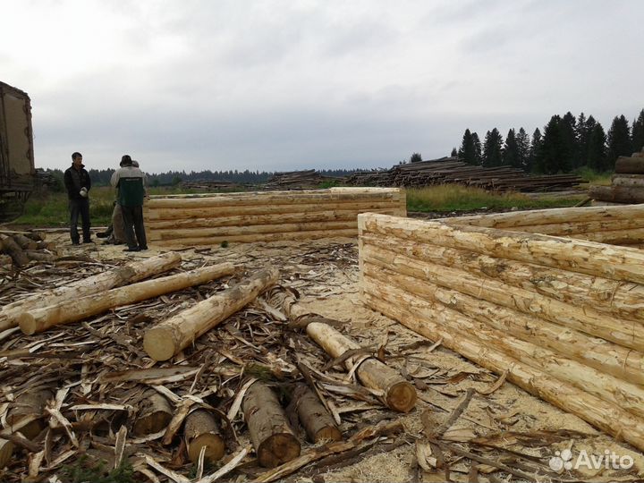 Срубы бань, домов