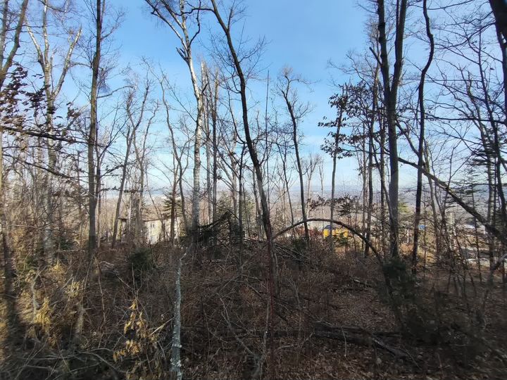 Участок 11,7 сот. (ИЖС)