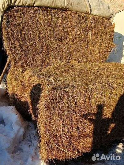 Козлятник (сено) в тюках