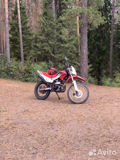 Ирбис TTR 250