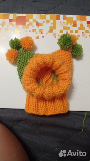 Одежда для животных