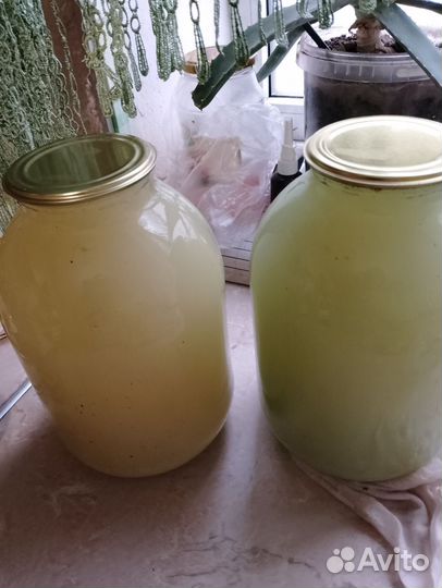 Жир свиной смалец