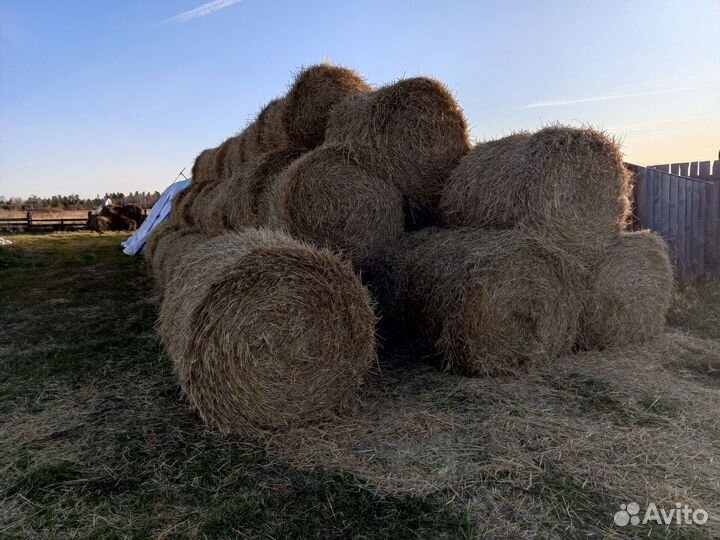 Продам солому