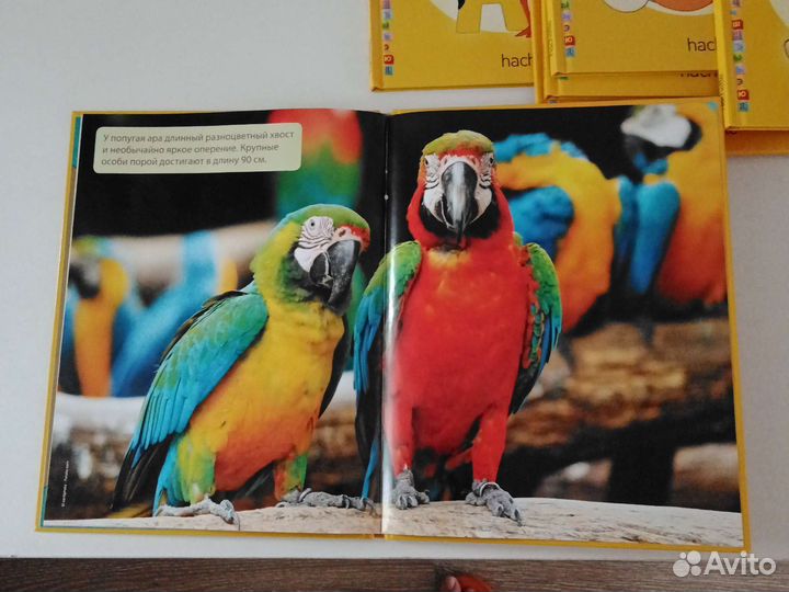 Полная коллекция 