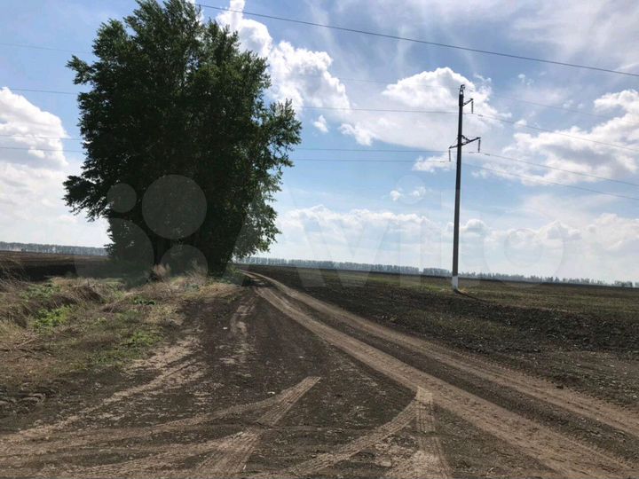 Участок 5 га (СНТ, ДНП)