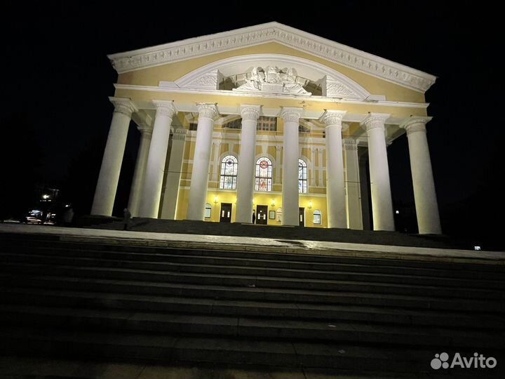 Кошка в дар