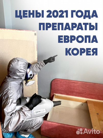 Травить клопов тараканов дезинфекция дезинсекция