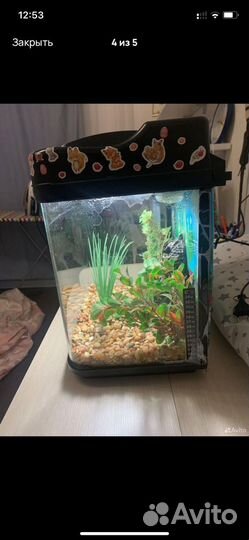 Аквариум с камнями,домиком и растениями