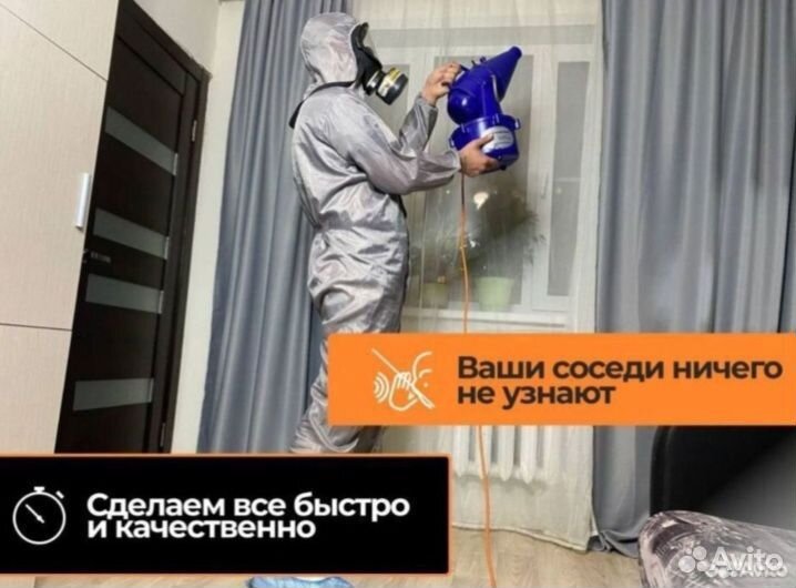 Уничтожение тараканов клопов блох мышей клещей ос