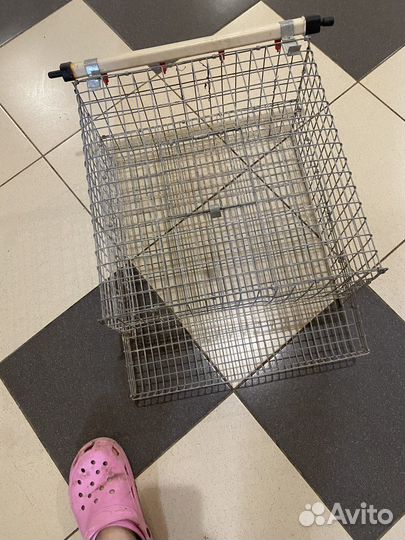 Клетка доя перепелов