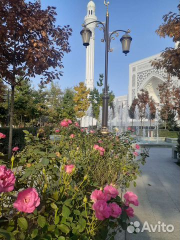 Гид/Экскурсии и туры в Чеченской республике