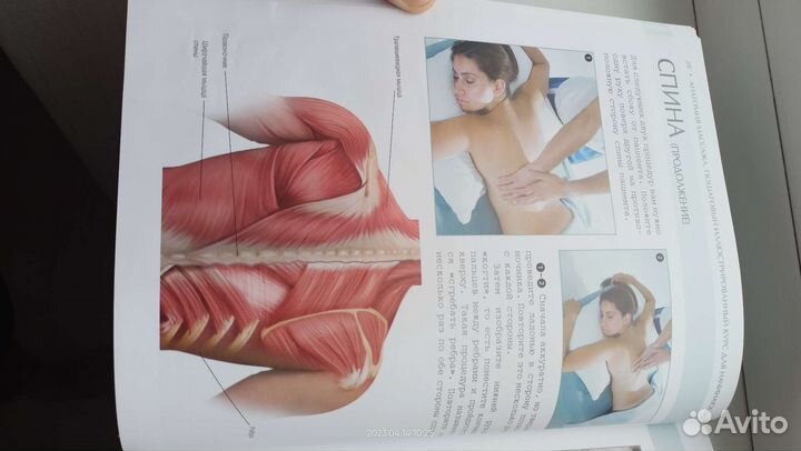 Книга Анатомия массажа