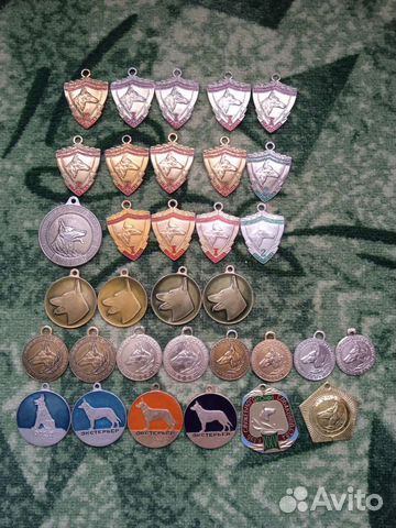 Значки для собак