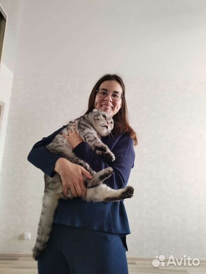 Котоняня с выездом на дом