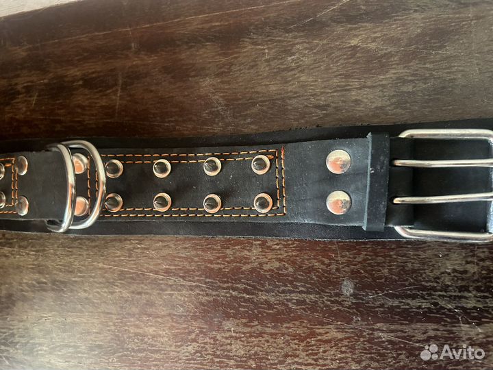 Ошейник для собак