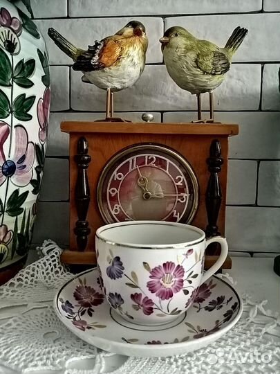 Чайная пара Вербилки Астры