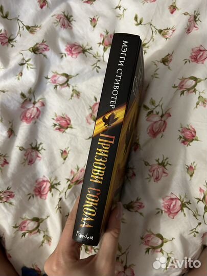 Мэгги стивотер Призови сокола