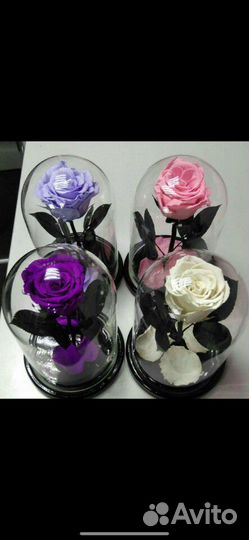 Роза в Колбе(Вечная Роза)