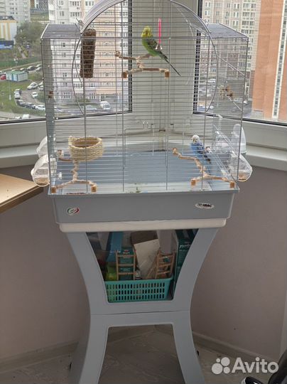 Попугай+ клетка