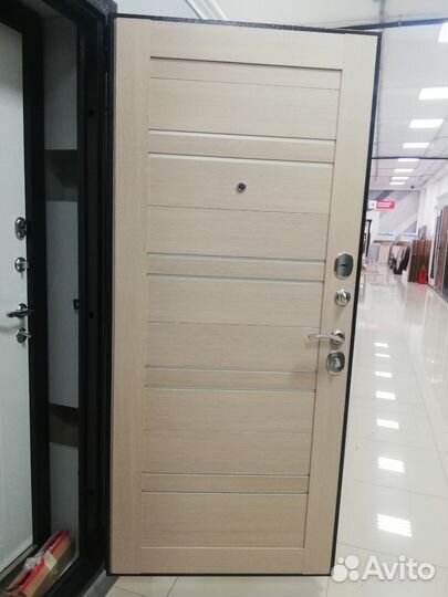 Эко Дверь входная