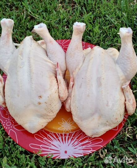 Корнишоны домашние свежие