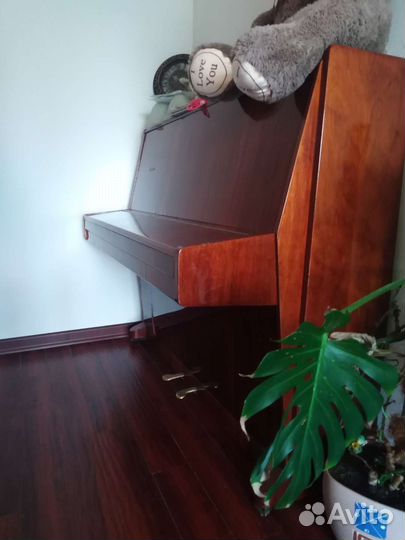 Пианино отдам бесплатно