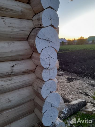 Сруб из отборной липы