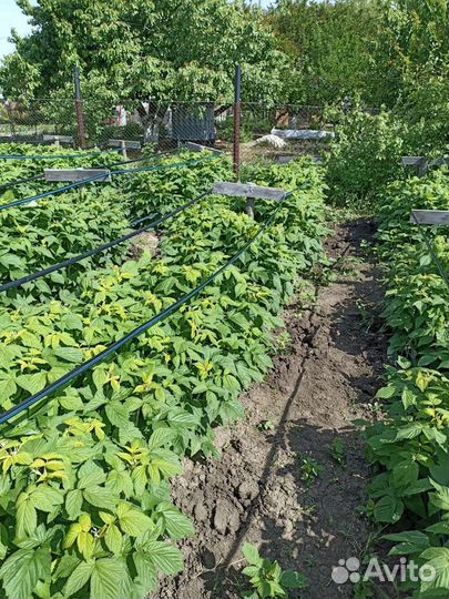 Продаю свое