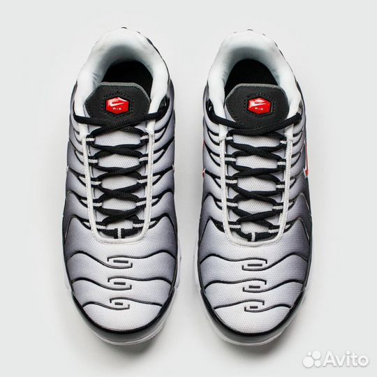 Кроссовки Nike Air Max Plus Tn Grey Black