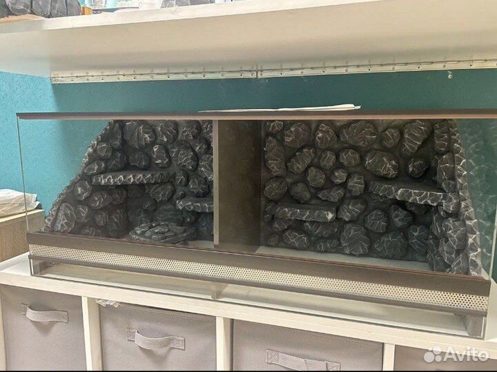 Оформление террариума «под ключ»