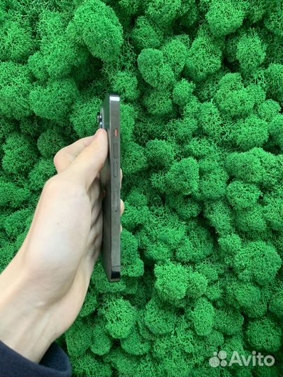 iPhone 13 Pro, 256 ГБ