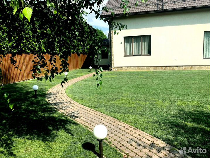 Рулонный газон 