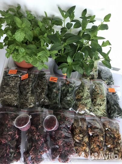 Травы и цветы сушеные,семена цветов