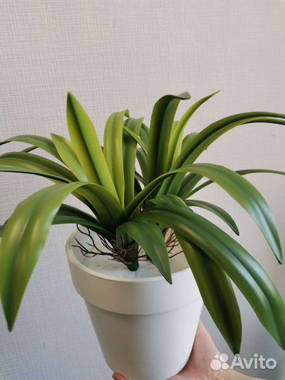 Растения искусственные в кашпо