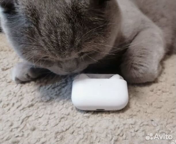 Наушники apple airpods Pro