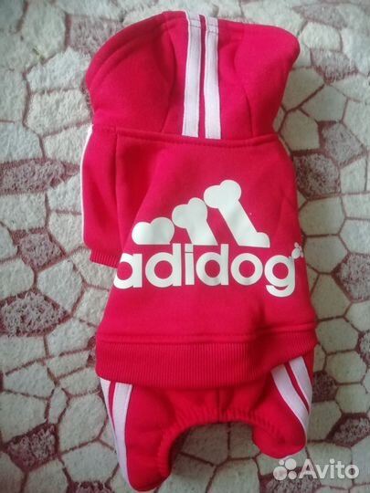 Одежда для собак мелких пород девочек