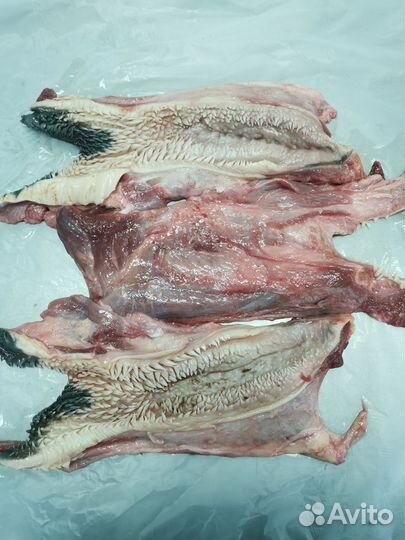 Корм для собак, щека говяжья, щётка