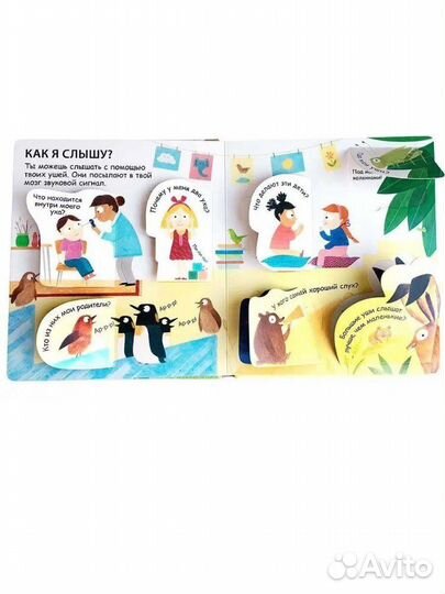 Книга с окошками