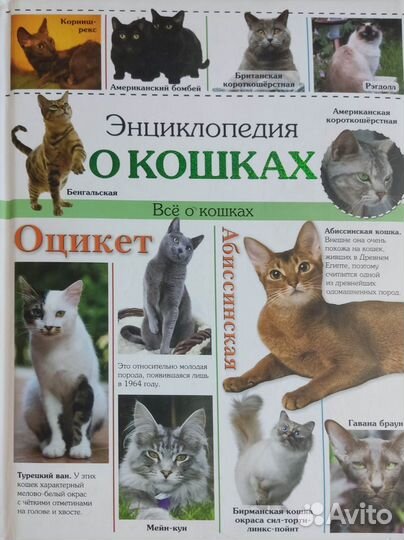 Энциклопедия Все о кошках