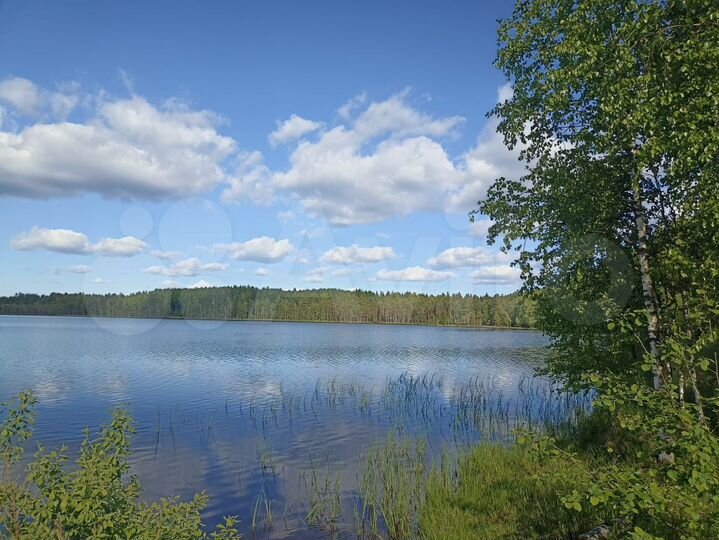 Дача 50 м² на участке 6,3 сот.