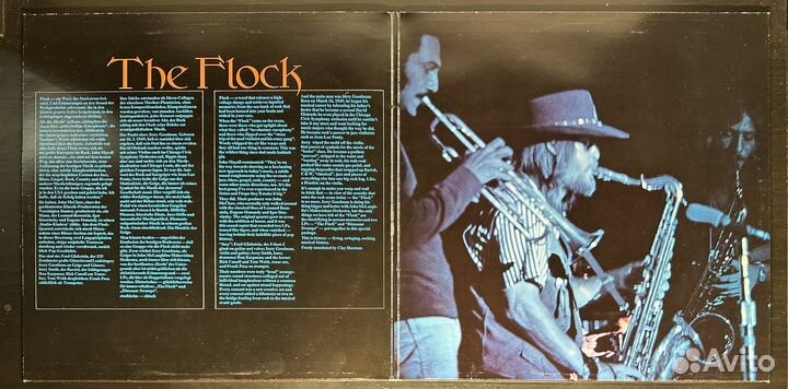 The Flock – The Flock 2LP (Голландия)