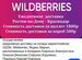 Доставка в маркетплейсы wildberries и ozon