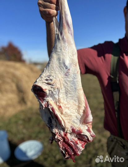 Мясо Баранины,шашлык халяль