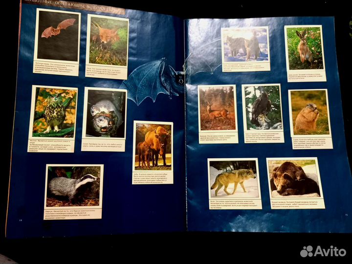 Журнал для наклеек 