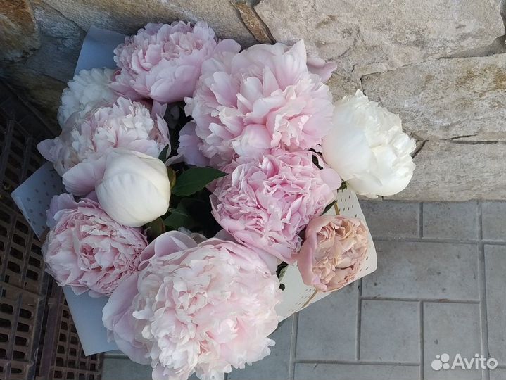 Пионы букет