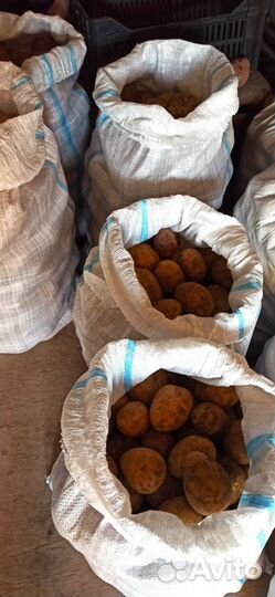 Продам картофель с доставкой