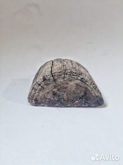 Морские коряги