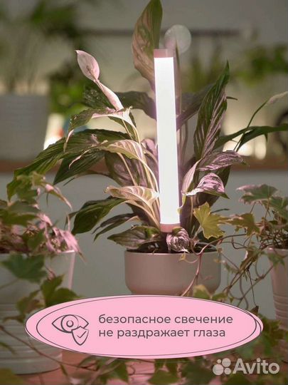 Фитолампа полного спектра на кoлышке 6 Вт, новая