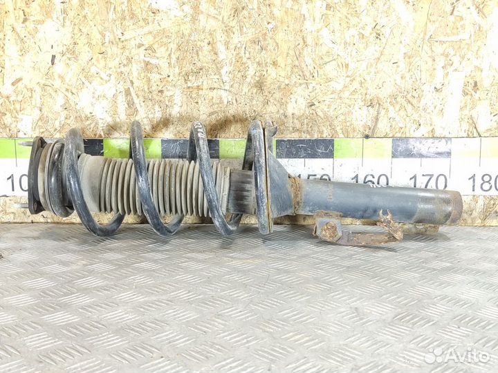 Амортизатор передний левый Ford Transit 2006-2013