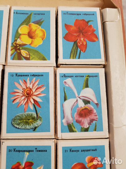 Этикетки спичечные коллекция цветов